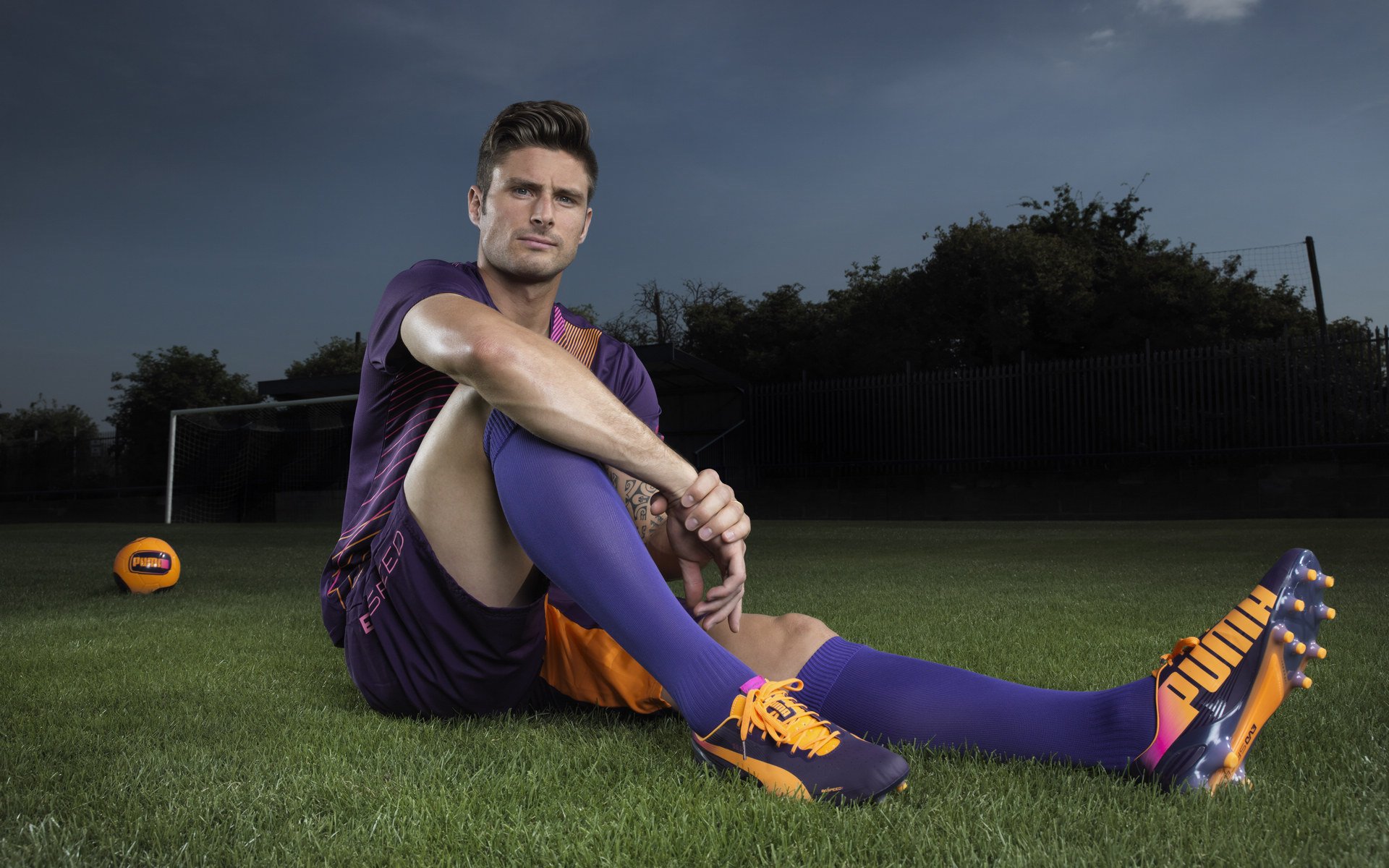 高校运动训练个性化指导系统设计,高校运动训练的项目设置