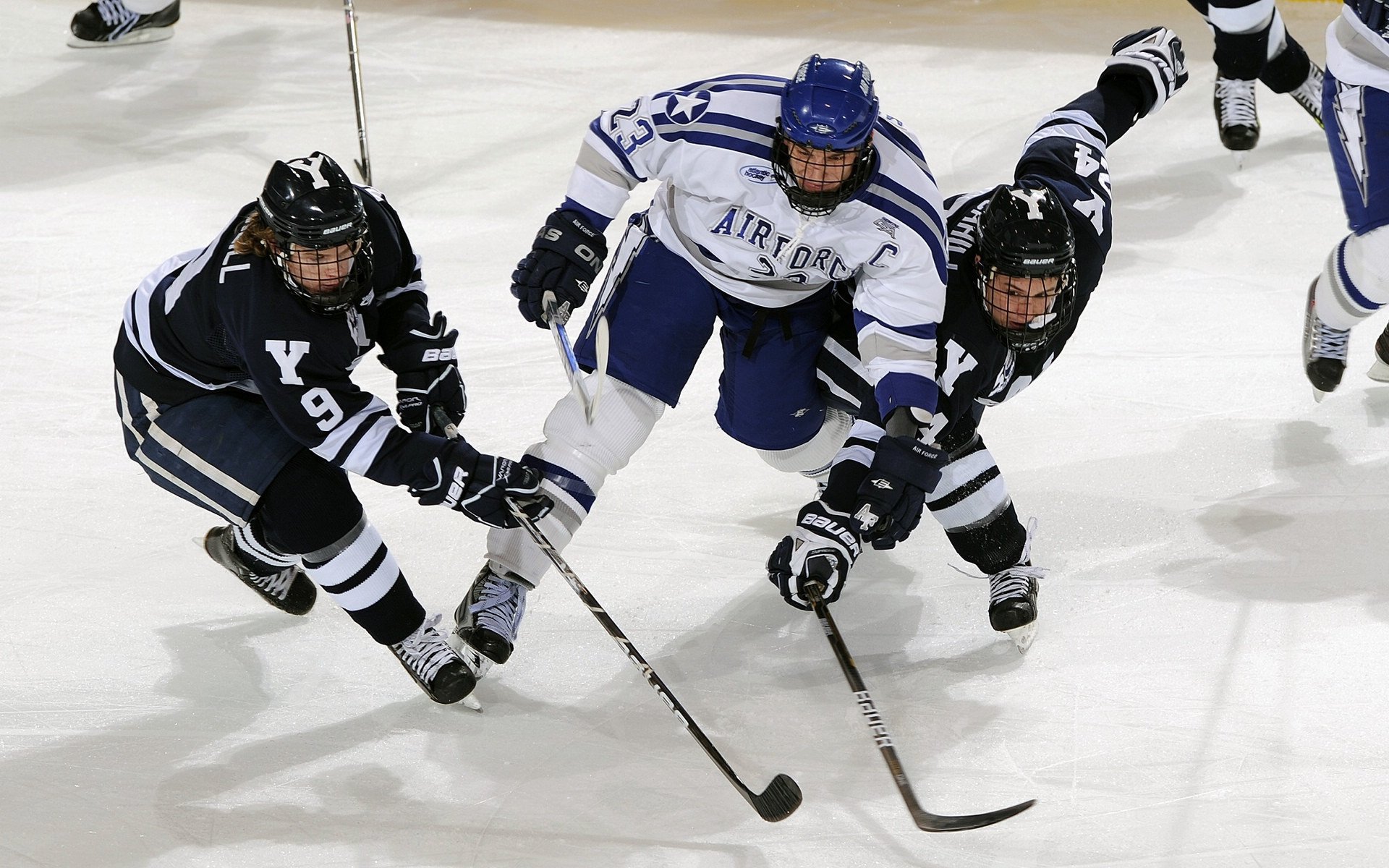 九游sports-哈尔滨举办青少年篮球创新挑战赛，助力地区体育发展，哈尔滨中学生篮球锦标赛